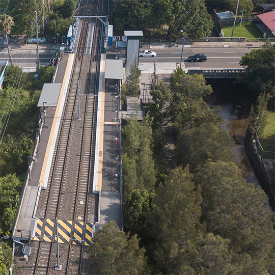 A light rail station and line runs above a road. Both are surrounded by trees.